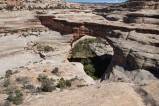 Natural Bridges (Katchina Bridge)