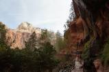 Zion NP (Emerald Pools)