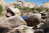 Joshua Tree NP