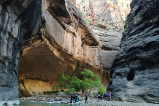 Narrows