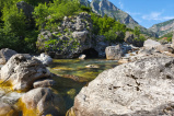Cemi River