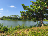 Taijiang NP
