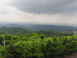 Alishan