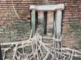 Anping Tree House