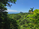 Kenting NP