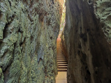 Kenting NP