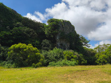 Sheding NP