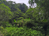 Liyu Lake